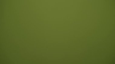 Bu, çeşitli tasarım projelerinde kullanım için ideal ince ve pürüzsüz bir yeşil dokudur.