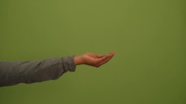 Canlı yeşil bir zemine uzanan bir el, yaratıcı projeler ve ilham için mükemmel.