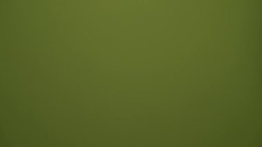 Geniş bir yelpazede çeşitli tasarım projeleri ve medya için ideal pürüzsüz ve rahatlatıcı bir yeşil arkaplan