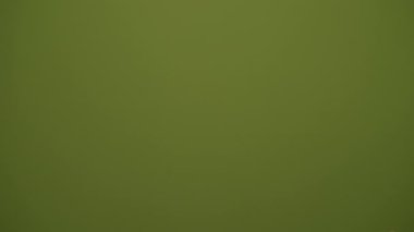 Bu canlı ve sağlam yeşil zemin çeşitli tasarım, marka ve dijital projeler için idealdir.