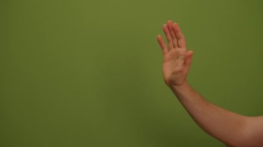 Bu ince ve zengin yeşil doku çeşitli arka planlar, yaratıcı tasarım projeleri ve görsel medya için mükemmeldir.