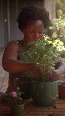 Bir kadın saksılarına çeşitli çiçekler yerleştirir. Bahçeyle ilgili neşesini ve doğayla olan derin bağını gösterir.