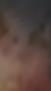 Renklerin ve büyüleyici dokuların güzel bulanık bir karışımını gösteren canlı ve çarpıcı soyut bir görüntü.