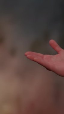 Değişik renklerin bu canlı ve soyut karışımı arka planların geliştirilmesi ve sanatsal projelerin zenginleştirilmesi için mükemmeldir.