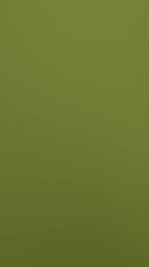 Zengin dokulu yeşil bir yüzeye büyüleyici bir yakınlaşma derinlik katan ince varyasyonlar sergiliyor.