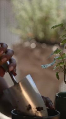 Zengin toprağın derinliklerine filizlenen sevgi dolu bir el bahçıvanlığın neşesini ve tatminini gösteriyor.