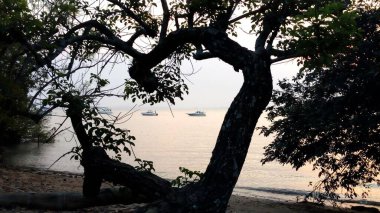 Porto Alegre 'deki Guaiba Nehri' nin fotoğrafı. Arka planda güneşli bir yaz gününde ağaçların arasında sürat teknesi var.
