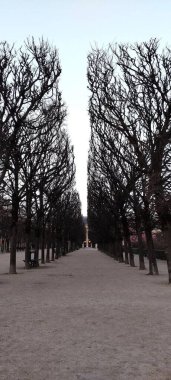 Paris 'teki saray sarayındaki ağaçların arasındaki toprak yol. Güzel mavi gökyüzü güneşinin üzerinde.
