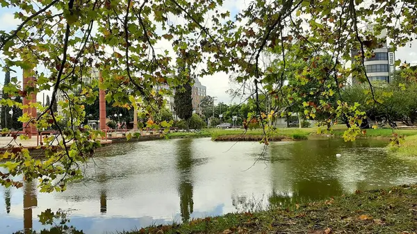Porto Alegr 'deki Praia de Belas Alışveriş Merkezi' nin önündeki ağaçları yansıtan gölü olan meydan.