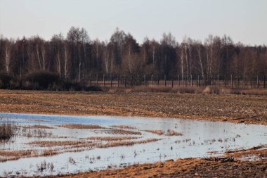 Baharda Ukrayna Çayırları, Göletler ve Bataklıklar