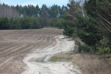 Bahar Çuha Çiçekleri, Kar Damlaları, Ağaç Ciyaklaması, Beyaz Çiçekler