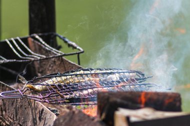 Karpat Dağları 'nın Doğa ve Manzaraları. Yaremche, Ukrayna.