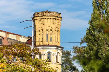 Kyiv Botanik Bahçesinde Sonbahar, Ukrayna