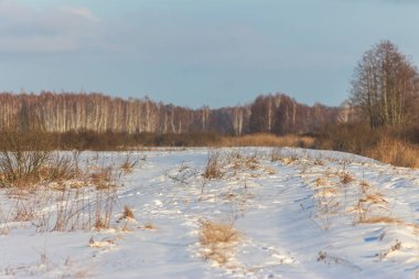 Kış Ormanları ve Tarlaları, Ukrayna