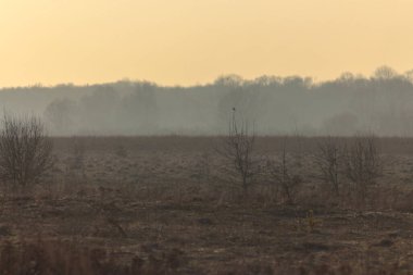 Bahar Tarlalarının Üzerindeki Gün Batımı