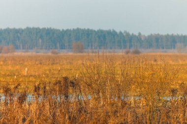 Bahar Tarlalarının Üzerindeki Gün Batımı