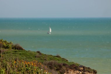 Brighton yakınlarındaki Beyaz Kayalıklar, İngiltere Doğal Kıyı Güzelliği
