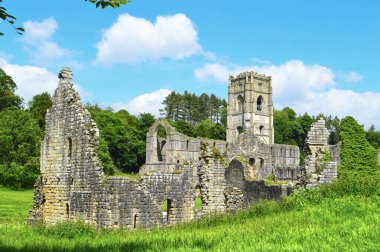 Fountains Abbey, Ripon, North Yorkshire, İngiltere - Haziran 06, 2024: Tarihi 13. yüzyıl Çeşmeleri Abby harabe ve kule manzarası