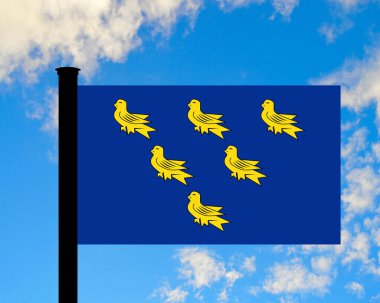 County flag of West Sussex that represents West Sussex in the UK clipart