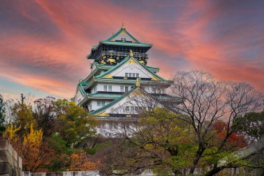 Osaka Şatosu, Japonya 'nın Kansai eyaletinin Osaka kentinde bulunan ünlü bir Japon şatosudur.