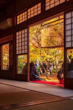 Japonya, Kyoto 'daki Enkoji Tapınağı' ndaki Japon bahçesinde güzel akçaağaç yaprağına bakan turistler. Tarihi eser ve sonbahar mevsiminde meşhurdur.