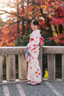 Kyoto, Japonya 'daki Kiyomizu Dera Tapınağı' nda renkli yapraklarla eğlenen kimono giyen genç bir kadın turist. Sonbahar yaprakları mevsiminde geleneksel Japon kıyafetleriyle saç stili yapan Asyalı bir kız.