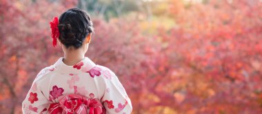 Kyoto, Japonya 'daki Kiyomizu Dera Tapınağı' nda renkli yapraklarla eğlenen kimono giyen genç bir kadın turist. Sonbahar yaprakları mevsiminde geleneksel Japon kıyafetleriyle saç stili yapan Asyalı bir kız.