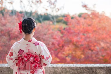 Kyoto, Japonya 'daki Kiyomizu Dera Tapınağı' nda renkli yapraklarla eğlenen kimono giyen genç bir kadın turist. Sonbahar yaprakları mevsiminde geleneksel Japon kıyafetleriyle saç stili yapan Asyalı bir kız.