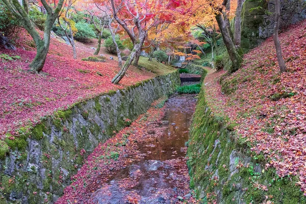 Красочные Листья Саду Храме Тофукудзи Достопримечательности Известный Туристических Достопримечательностей Киото — стоковое фото