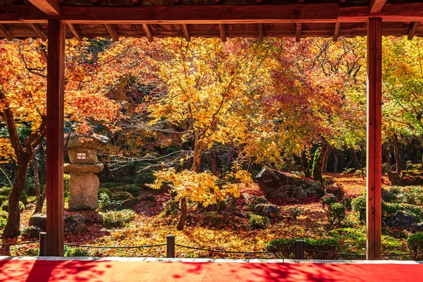 Ram Mellan Träpaviljong Och Vackra Maple Träd Japanska Trädgården Och — Stockfoto