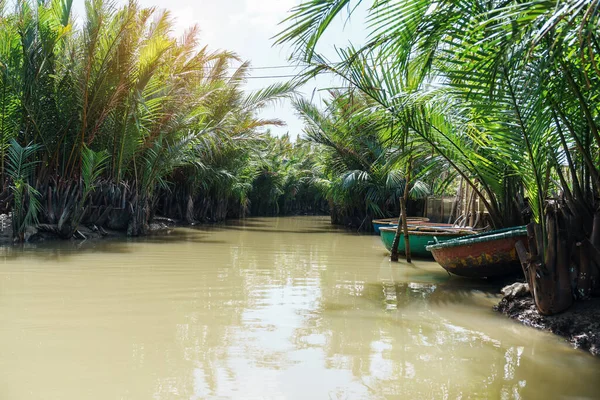 stock image coconut river forest with basket boats, a unique Vietnamese at Cam thanh village. Landmark and popular for tourists attractions in Hoi An. Vietnam and Southeast Asia travel concepts