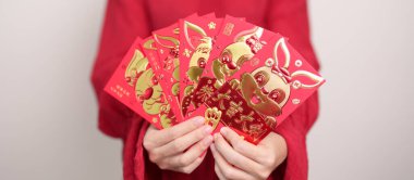 Woman holding Chinese red envelope with golden rabbit and blessing word, money gift for happy Lunar New Year holiday. Chinese sentence means happiness, healthy, Lucky and Wealthy