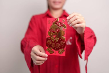 woman holding Chinese red envelope with golden rabbit and blessing word, money gift for happy Lunar New Year holiday. Chinese sentence means happiness, healthy, Lucky and Wealthy
