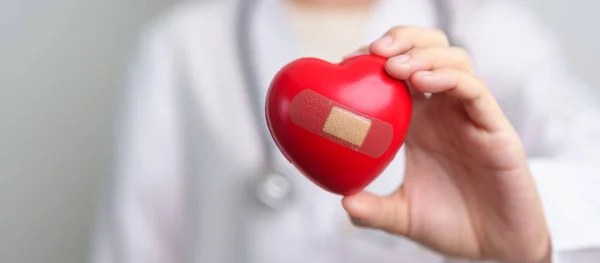 Doctor Hand Holding Red Heart Shape Hospital Love Donor World — Stock Photo, Image