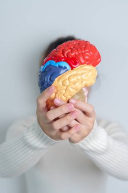 Woman holding human Brain model. World Brain Tumor day, Brain Stroke, Dementia, alzheimer, parkinson and world mental health concept