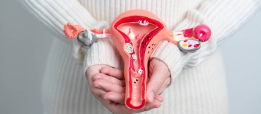 Woman holding Uterus and Ovaries model. Ovarian and Cervical cancer, Cervix disorder, Endometriosis, Hysterectomy, Uterine fibroids, Reproductive system and Pregnancy concept