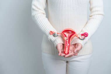 Woman holding Uterus and Ovaries model. Ovarian and Cervical cancer, Cervix disorder, Endometriosis, Hysterectomy, Uterine fibroids, Reproductive system and Pregnancy concept