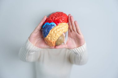 Woman holding human Brain model. World Brain Tumor day, Brain Stroke, Dementia, alzheimer, parkinson and world mental health concept