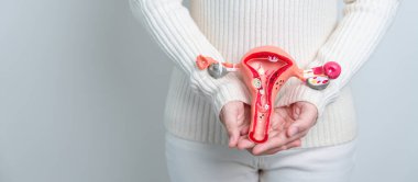 Woman holding Uterus and Ovaries model. Ovarian and Cervical cancer, Cervix disorder, Endometriosis, Hysterectomy, Uterine fibroids, Reproductive system and Pregnancy concept