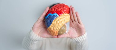 Woman holding human Brain model. World Brain Tumor day, Brain Stroke, Dementia, alzheimer, parkinson and world mental health concept