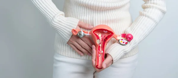 Woman Holding Uterus Ovaries Model Ovarian Cervical Cancer Cervix Disorder — Stockfoto