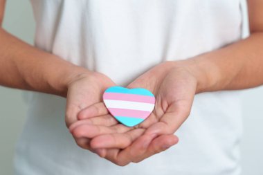 Transseksüel Günü ve LGBT gurur ayı, LGBTQ + veya LGBTQIA + kavramı. Lezbiyen, Gey, Biseksüel, Transseksüel, Eşcinsel ve Panseksüel Topluluğu için mavi, pembe ve beyaz kalp şeklinde el ele tutuşmalar
