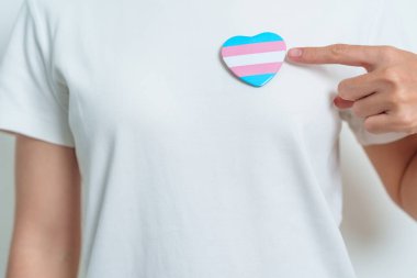 Transseksüel Günü ve LGBT gurur ayı, LGBTQ + veya LGBTQIA + kavramı. Lezbiyen, Gey, Biseksüel, Transseksüel, Eşcinsel ve Panseksüel Topluluğu için mavi, pembe ve beyaz kalp şeklinde el ele tutuşmalar