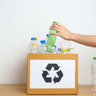 Gönüllü, plastik şişeyi evde ya da ofiste karton kutuya koyuyor. Geri Dönüşüm çöpünü elle ayırmak. Ekoloji, Çevre, Kirlilik, Geri dönüşüm, Atık Yönetimi ve Çöp Ayrıştırma Konsepti