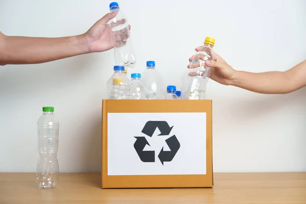 Voluntario Mantener Botella Plástico Caja Papel Casa Oficina Clasificación Manual — Foto de Stock
