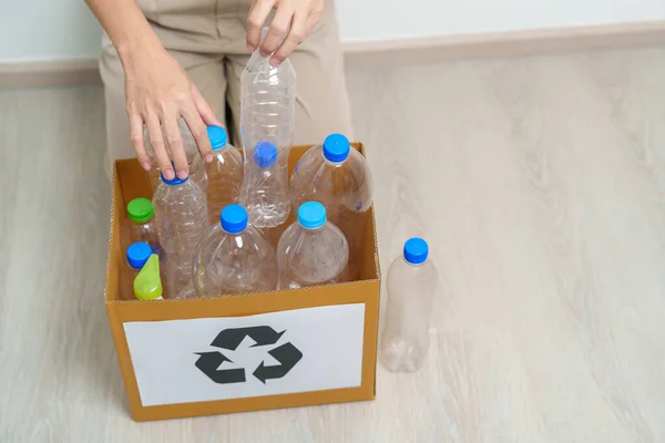 Önkéntes Tartsa Műanyag Palackot Papírdobozba Otthon Vagy Irodában Kézválogatás Szemét — Stock Fotó