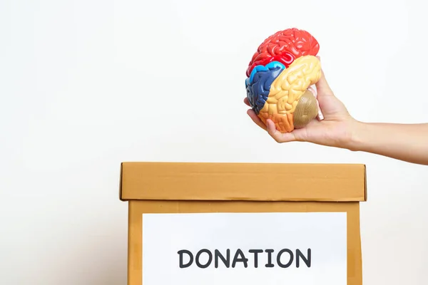 臓器提供 チャリティ ボランティア コンセプト提供 世界脳腫瘍の日 脳梗塞 認知症 アルツハイマー パーキンソン病および世界の精神衛生を支援するための寄付箱に人の脳を保持する手 — ストック写真
