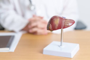 Karaciğer anatomisi modeli olan bir doktor. Karaciğer kanseri ve tümör, sarılık, Viral Hepatit A, B, C, D, E, Siroz, Başarısızlık, Büyümüş, Hepatik Ensefalopati, Karında Asit ve Sağlık Konsepti