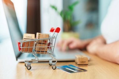 Kadının biri kredi kartını tutuyor ve sipariş verirken cep telefonuyla internetten alışveriş yapıyor. Pazar yeri platformu web sitesi, teknoloji, ecommerce, nakliye teslimatı ve çevrimiçi ödeme