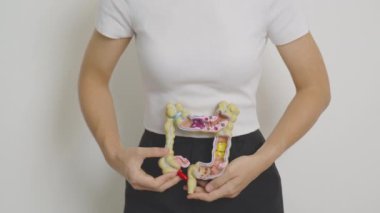 Kolon anatomisi modeli olan bir kadın. Kolon hastalığı, kalın bağırsak kanseri, renk kanseri, ülseratif kolit, divertikülit, hassas bağırsak sendromu, sindirim sistemi ve sağlık konsepti.